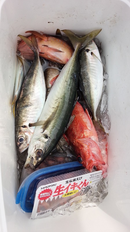 ���i�C���[�W